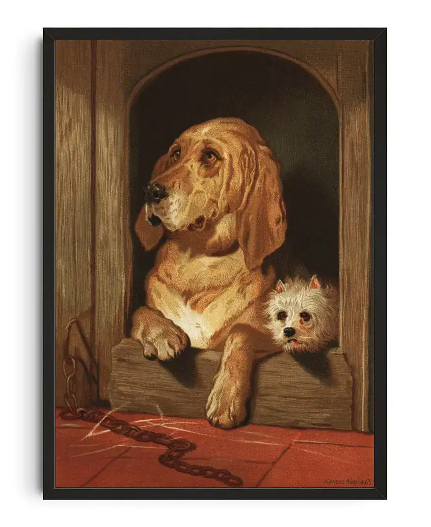 Dignity And Impudence