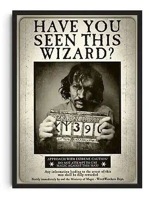 Have You Seen This Wizard
