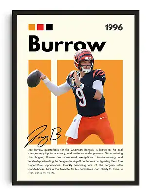 Burrow Infographic Poster