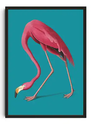 Elegant Flamingo Pose