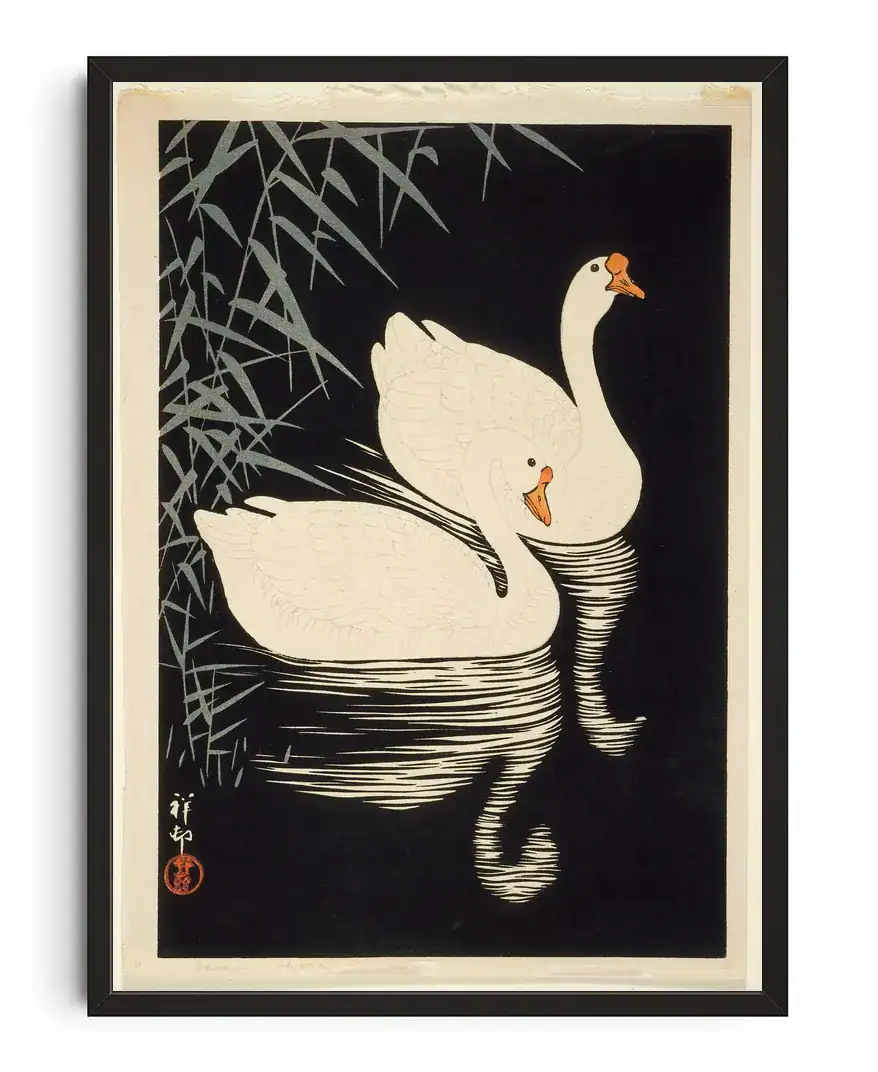 Ivory Swan Reflection