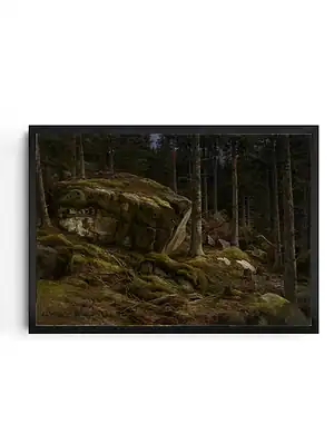 Lindgren Forest Scene