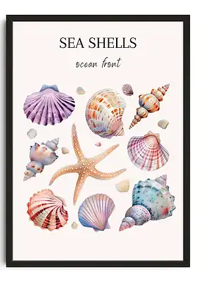 Marine Life Shells Still Life