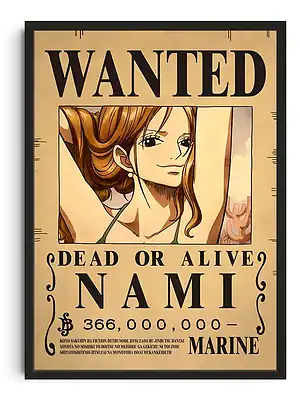Nami One Piece Wanted Art