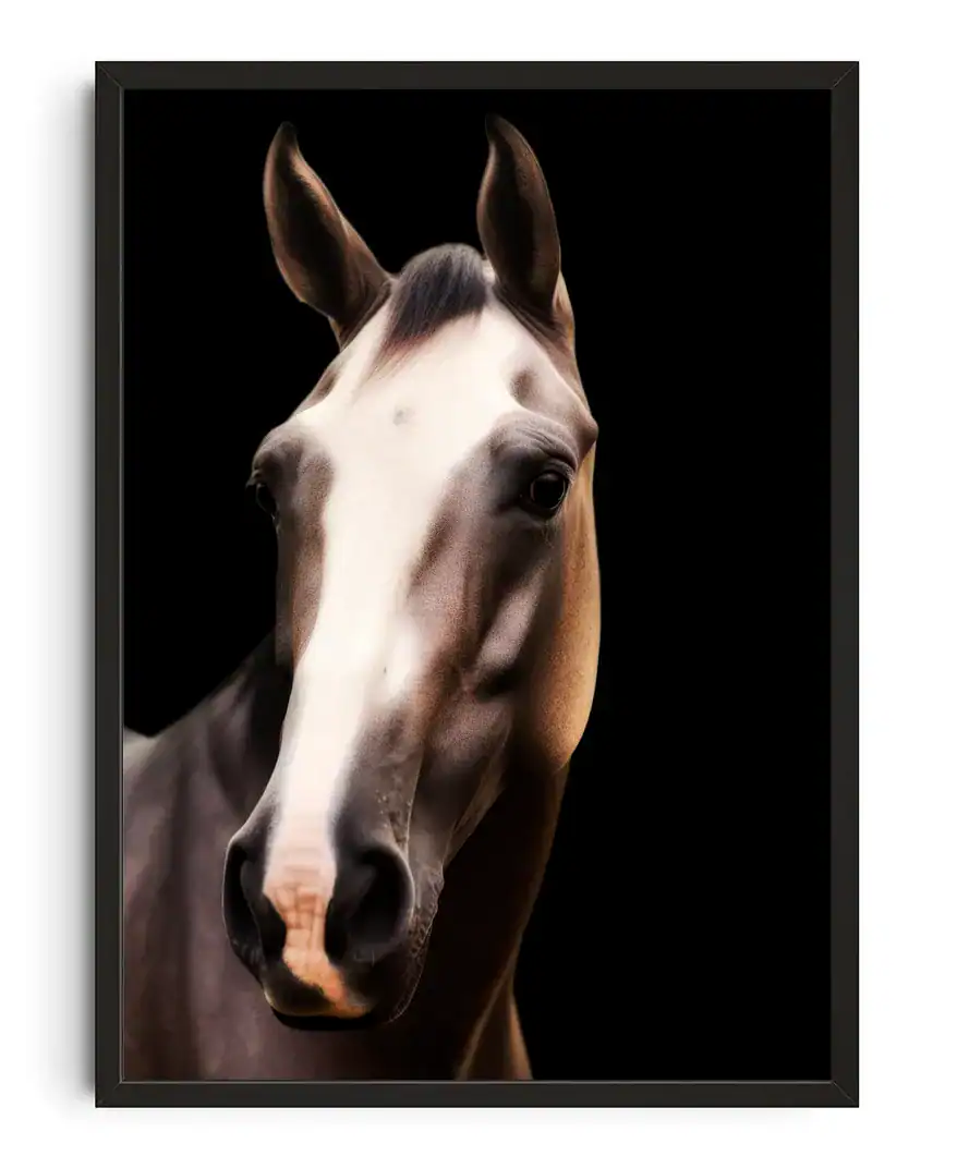 Noble Horse Regality