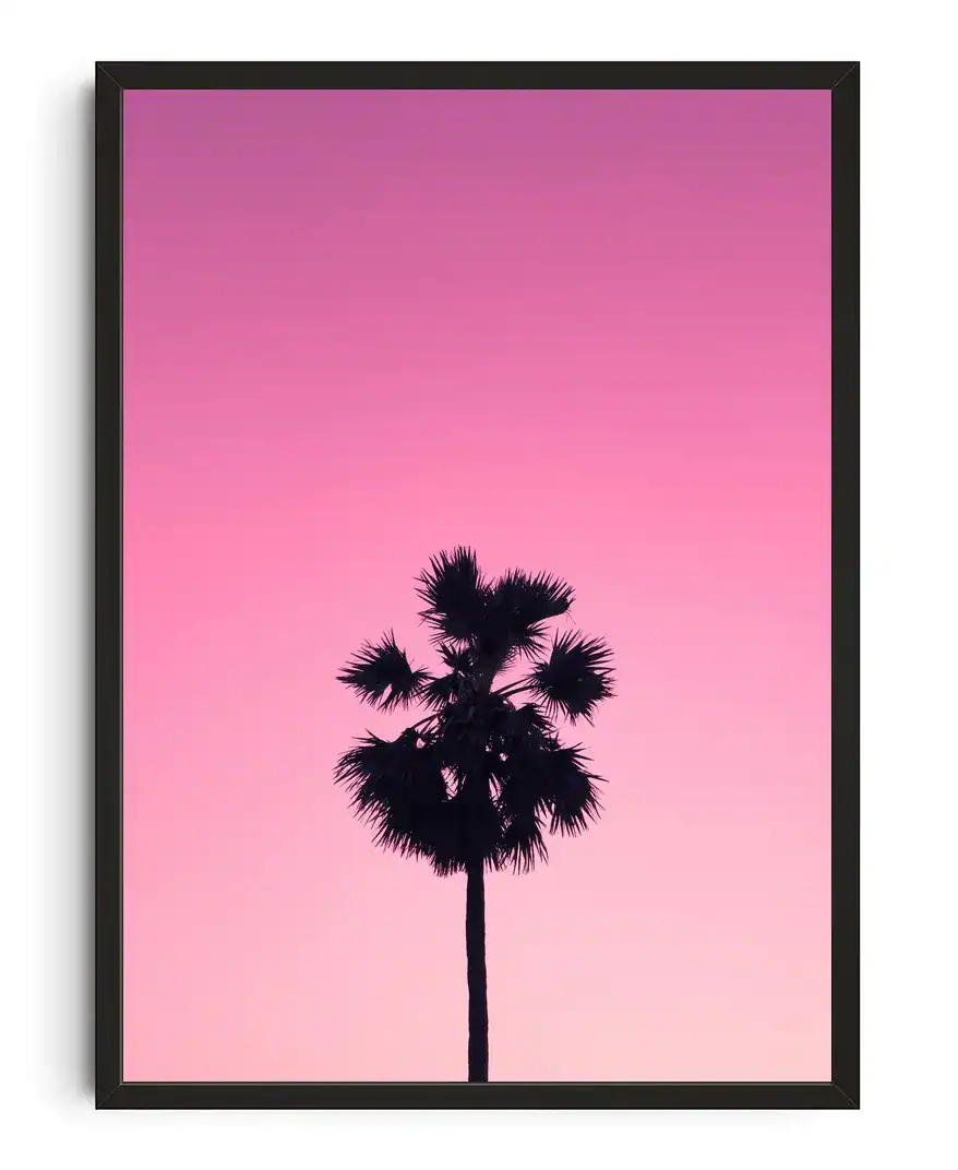 Palmyra Palmtree Print
