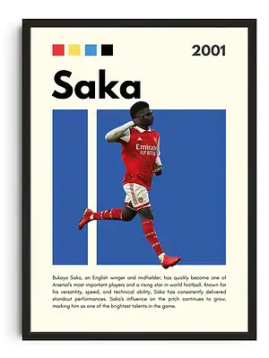 Saka Infographic Poster