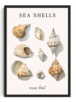 Sea Shells Vibes