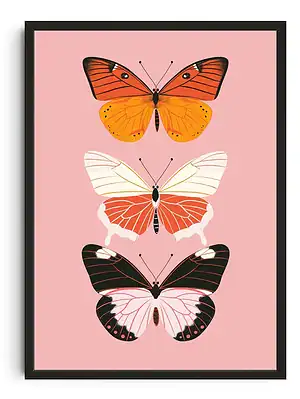 Vibrant Butterfly Trilogy