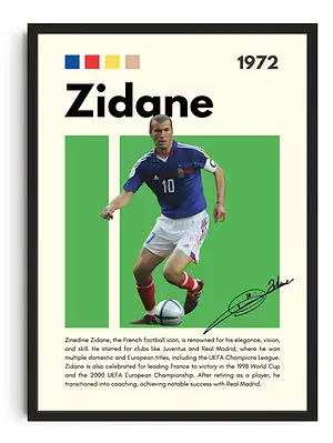 Zidane Infographic Poster
