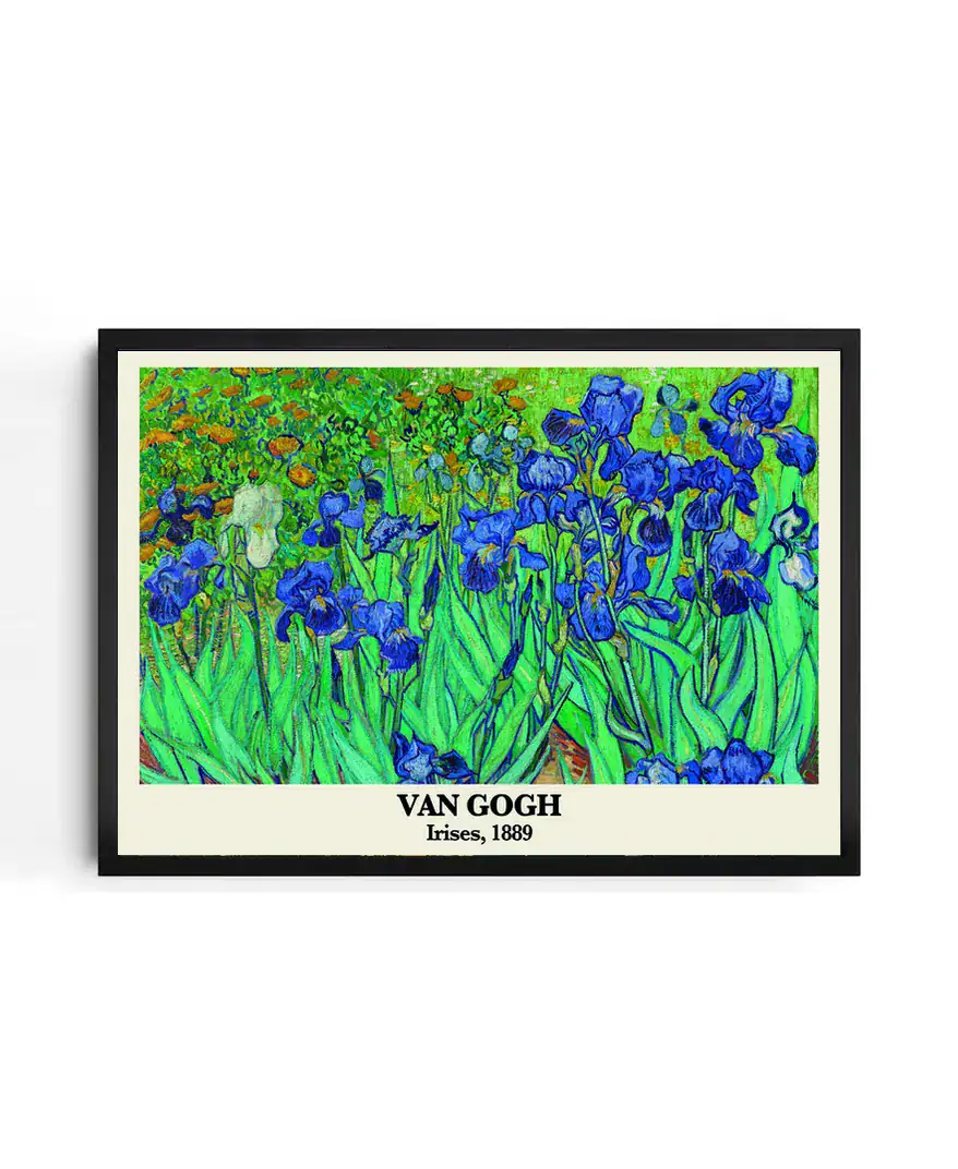 Van Gogh Irises